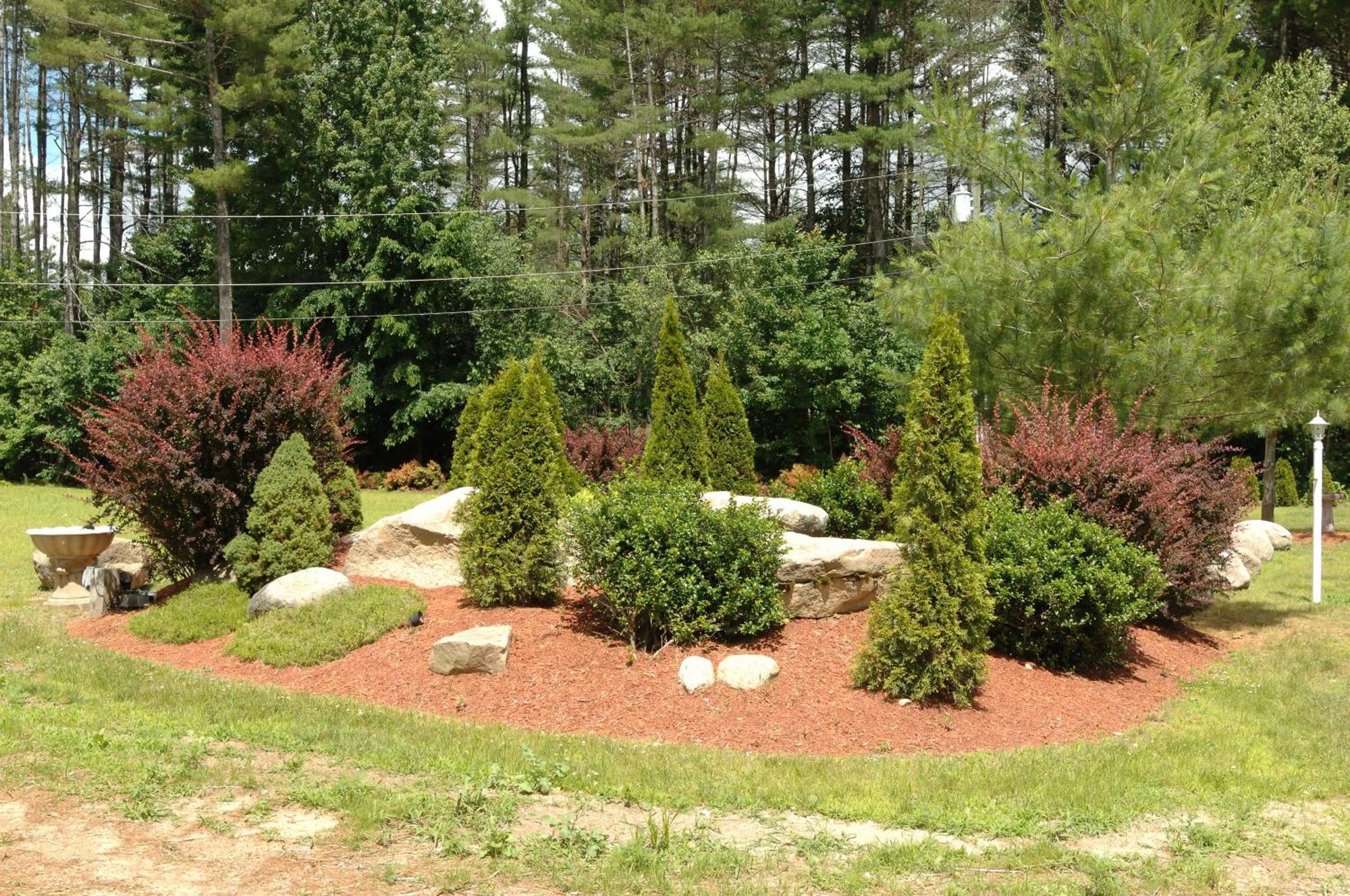 Saco River Motor Lodge & Suites Conway Esterno foto